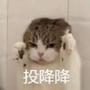 ChengTian_Bai