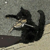 Mewmoss
