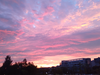 Allen_COME_CHENG