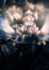 Holy_Darklight