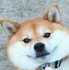 flypotato