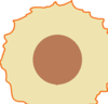 fish_paste_slice