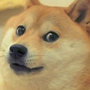 Tian_tian_en