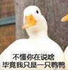 fengyueyingxia