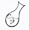 Sreason29