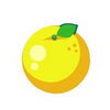 233MANGO