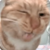 EsssX