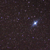 Canophia