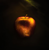 An apple