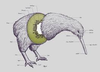 Obfu_Fowl