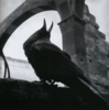 Wolfbird
