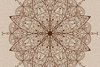 Dandelions of Samer
