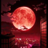 really blood moon