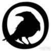 Crow pablo