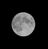 themooninnight