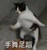 cong_yun