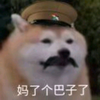 wwwXD