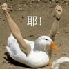 ThishereisDrL