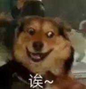 Cyert-Bai Fei