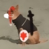 DOG_Momizi