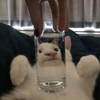 SUGARANDSALT