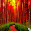 redbamboo