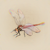 Crystal Dragonfly