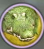 crocodilegrasd