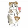 galaxy_cat