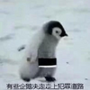 Super Penguin