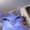 XYYHG