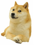 wddczd