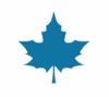BlueMaple O