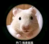 xueqiudof666