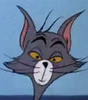 Siwell