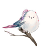 SevenFeather