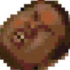 Appvus