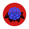 MrBlueRose