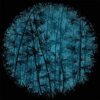 Bamboo_Stardust