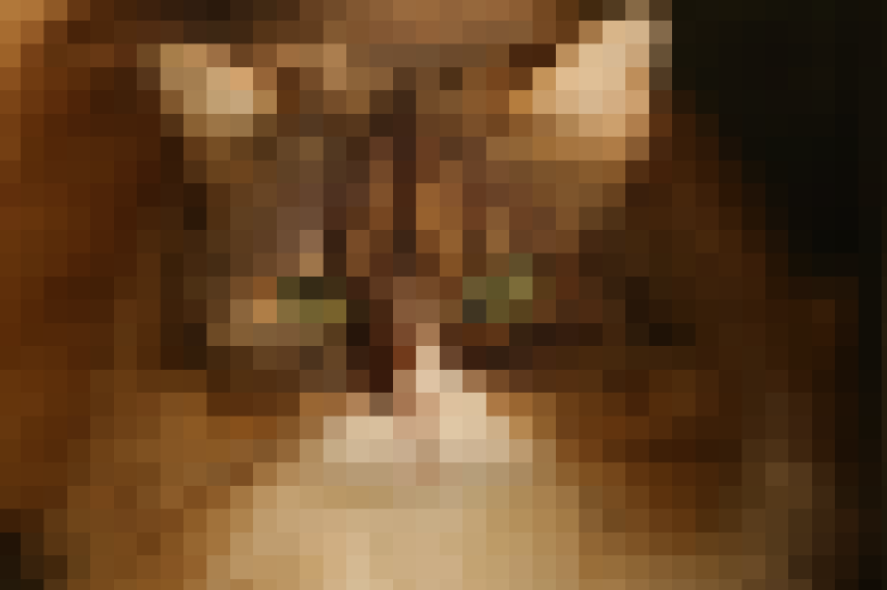 %E6%89%93%E5%90%97%E7%9A%84%F0%9F%90%B1