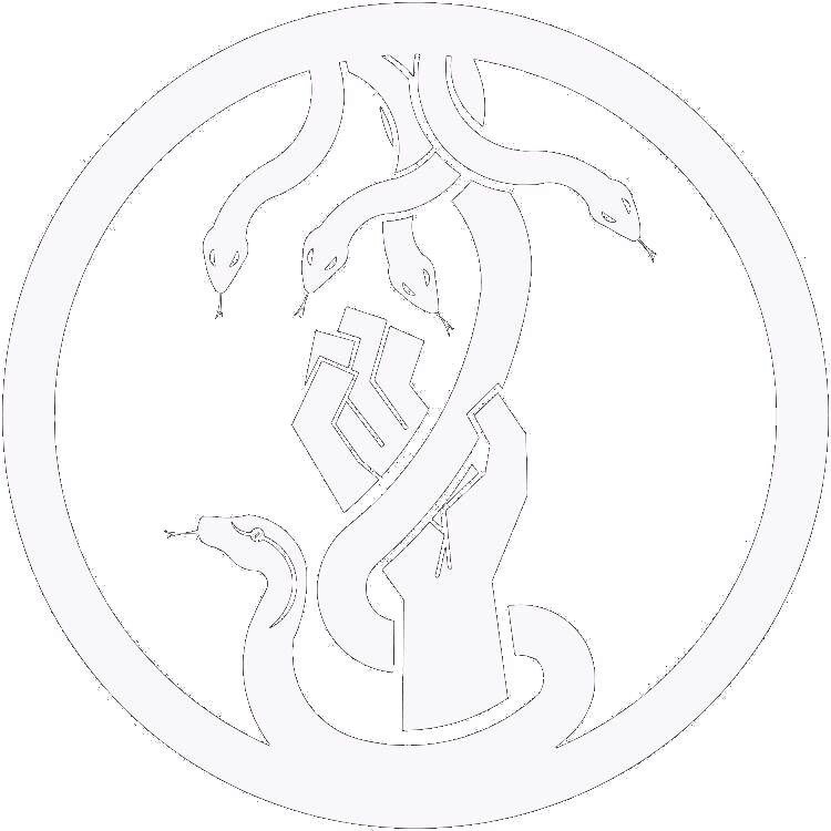 %E6%96%B0%E7%94%9F%E6%B4%BE%20%E7%9C%9F