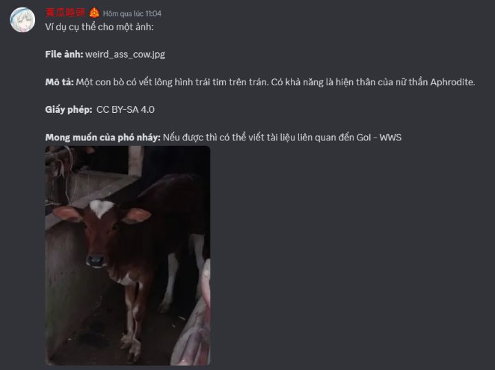 exampleimagecon.jfif