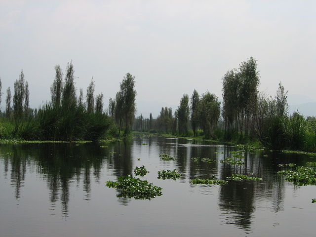 chinampa