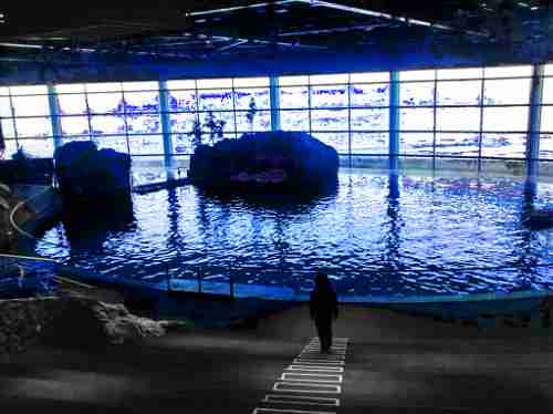 void_aquarium_5.jpg