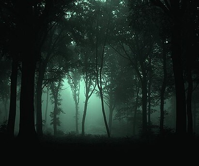 512px-Gloomy_Forest.jpg