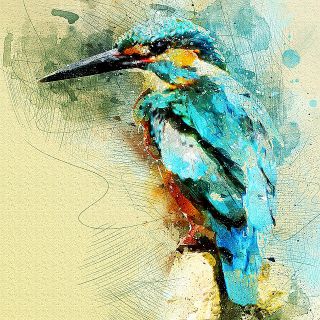 Kingfisher.jpg