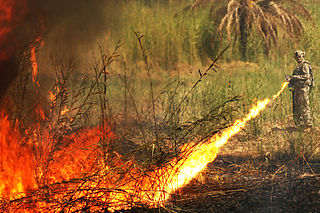 320px-Flame_Thrower_Iraq.jpg