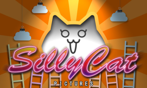 the_sillycat_pictures.jpg