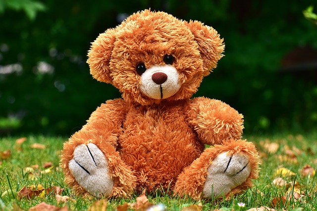 teddy-2468050_640.jpg