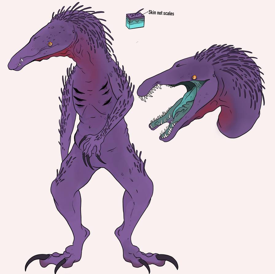 more%20detail%20dr%20whitney%20ref